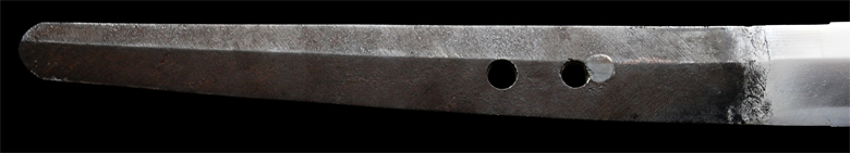 tadakuni8
