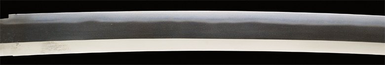 tadao5