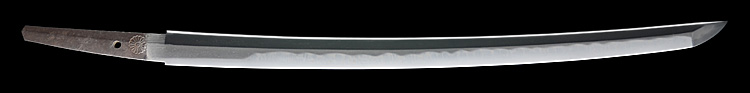 yasuhiro2