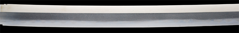 SHIGETAKA6